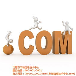 豐和信息技術(shù)中心 遼源市網(wǎng)絡(luò)推廣與高清圖片經(jīng)濟(jì)信息咨詢的專業(yè)引領(lǐng)者