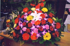 從鮮花用品到機械設備 多元業(yè)務的創(chuàng)新融合與市場展示